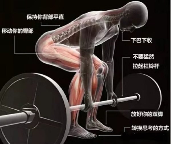 健身圈的三大项指的是什么啊