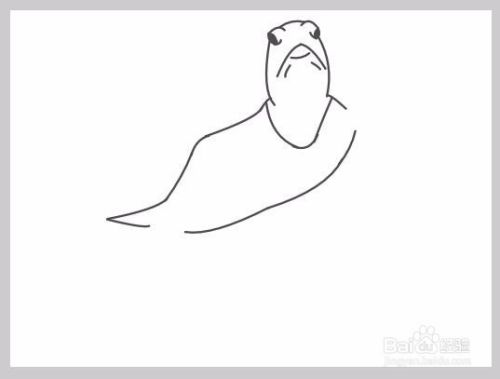 如何画一只遨游的海龟？