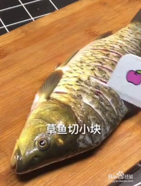 怎么做麻辣藤椒鱼