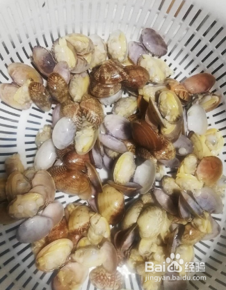 比饭店还好吃的爆炒花甲