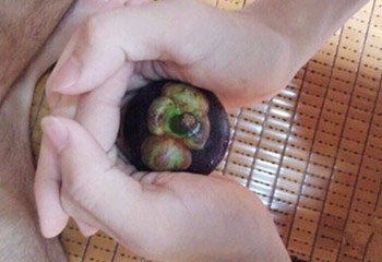 剥山竹有没有什么妙招呢?