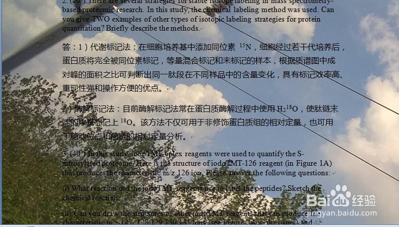 Word 2007中如何以图片作为文档背景