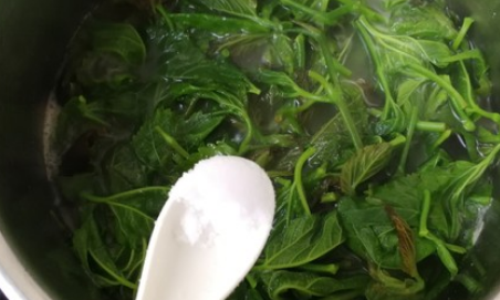桑叶芽怎么吃