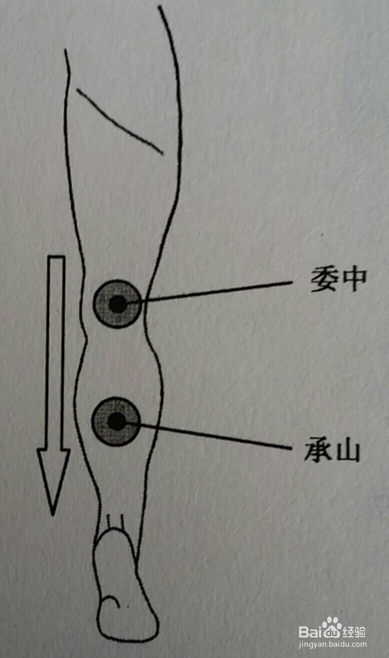 刮痧治疗青少年矮小，青少年增高