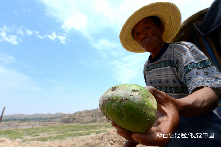 西瓜放冰箱后再吃的危害