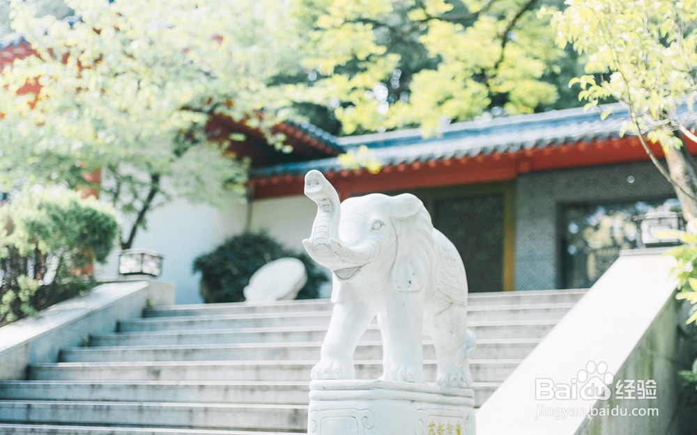 如何处理与朋友争吵之后自己低落的情绪