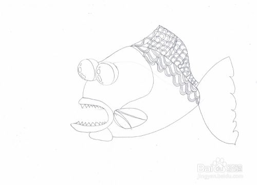 海底石头鱼（石斑鱼）