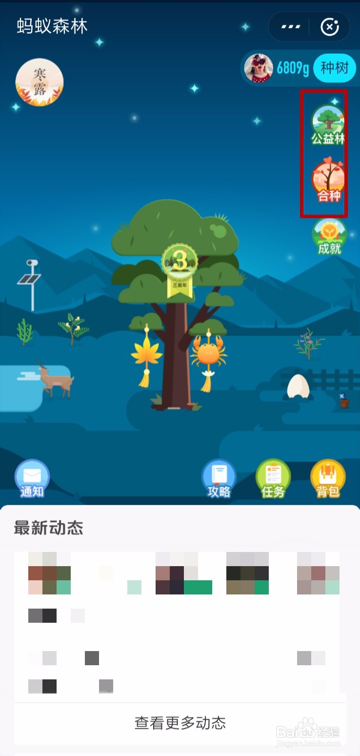 蚂蚁森林9.7kg攻略