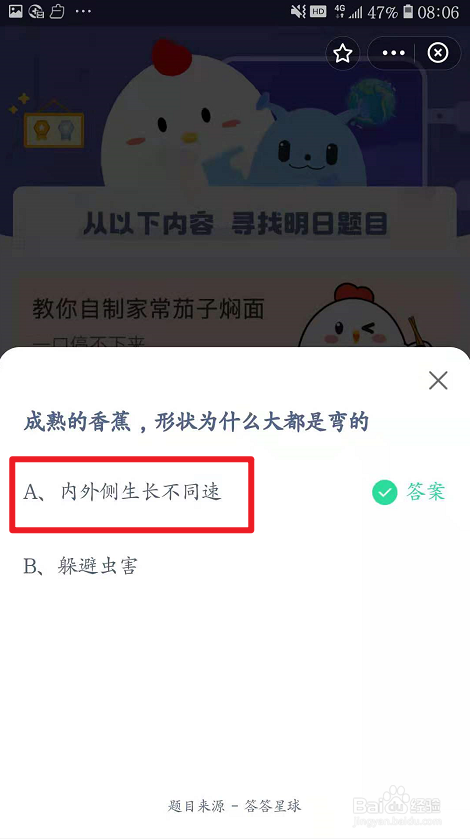 蚂蚁庄园成熟的香蕉为什么大都是弯的