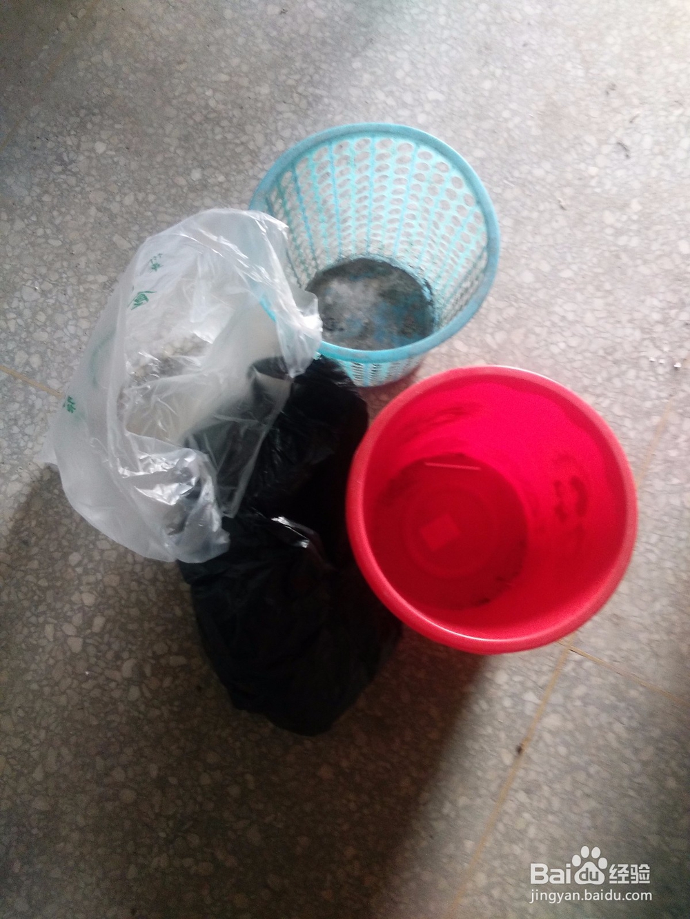 如何发豆芽又快又好