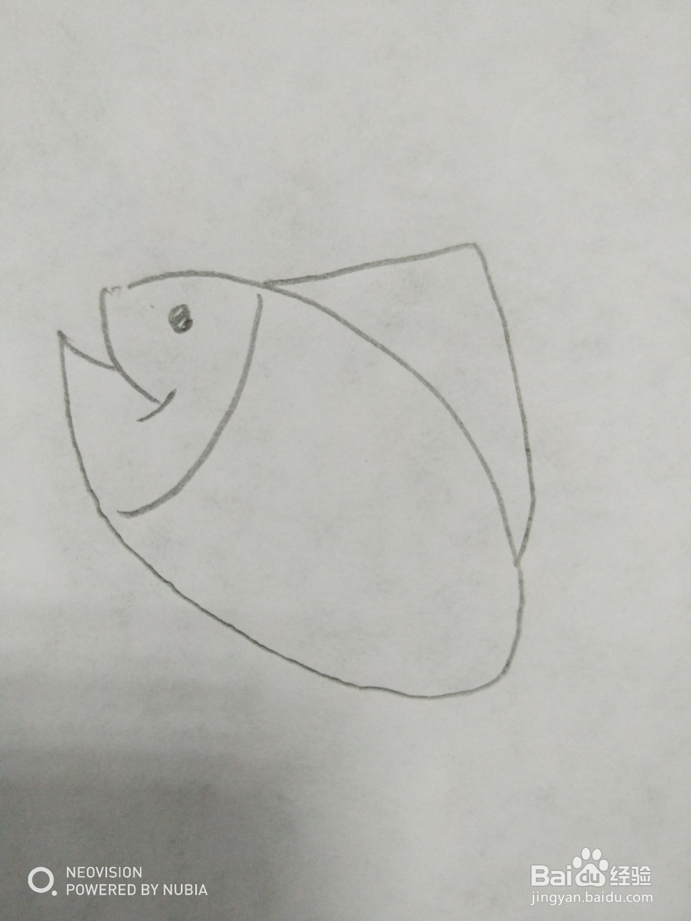 简单的小鱼怎么画（十）