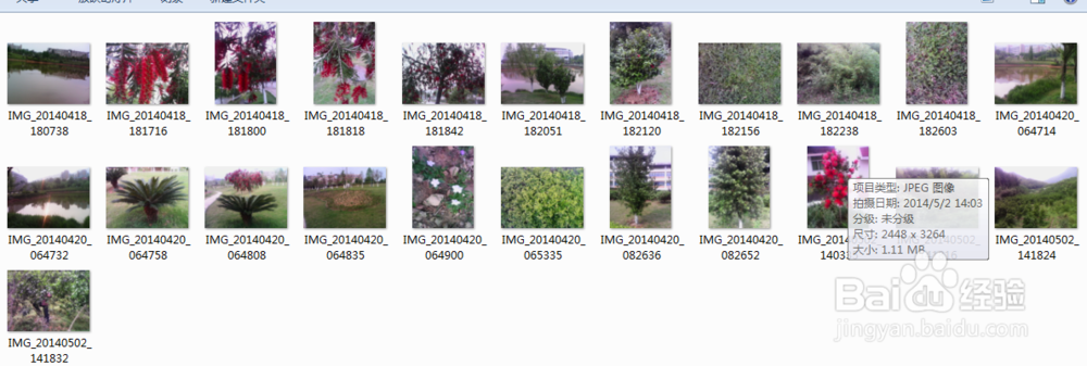 拖把更名器更名方法