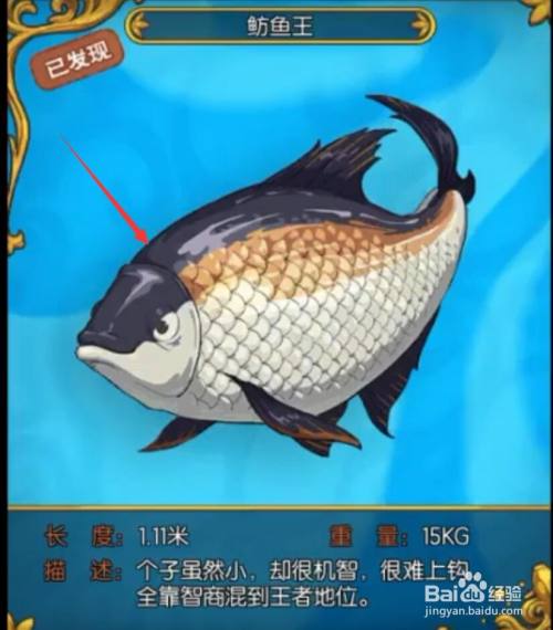 小森生活如何钓到鲂鱼王