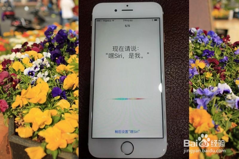 苹果6S手机怎样才能顺利激活