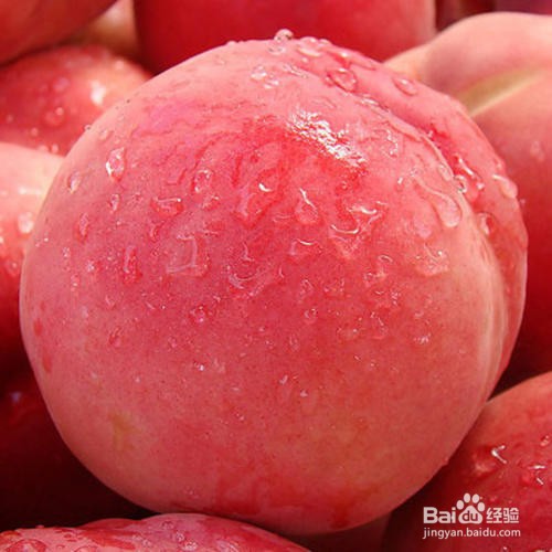 桃子怎么种才能长出来