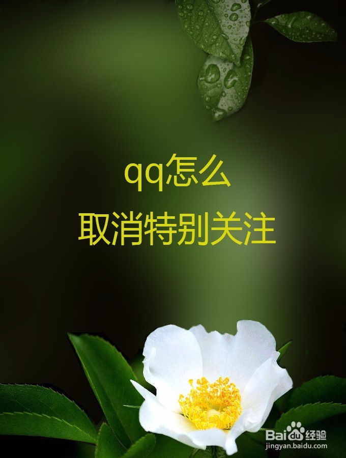 <b>qq怎么取消特别关注</b>