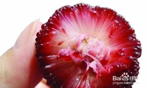 吞了杨梅核怎么办