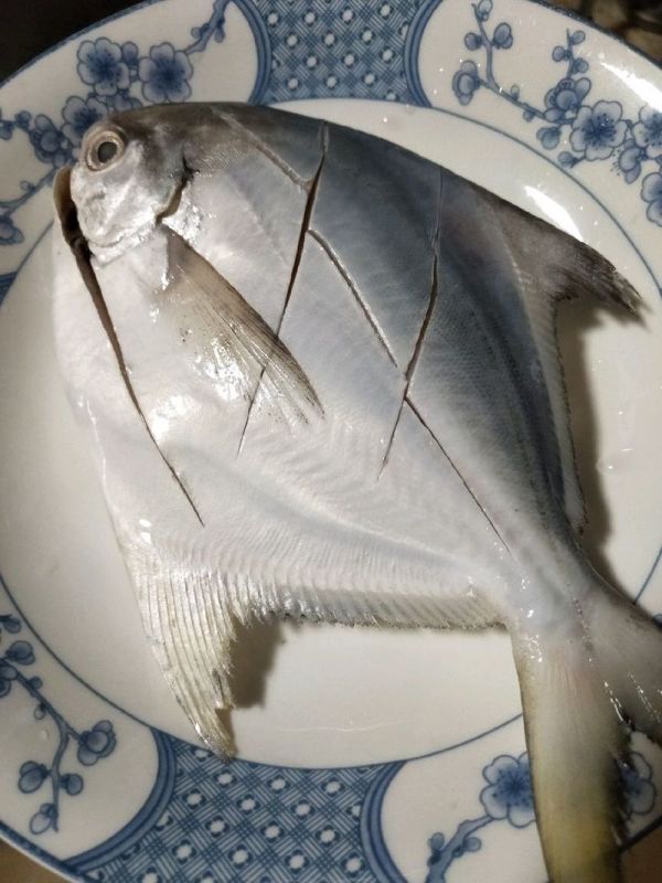 黄豆酱蒸白枪鱼