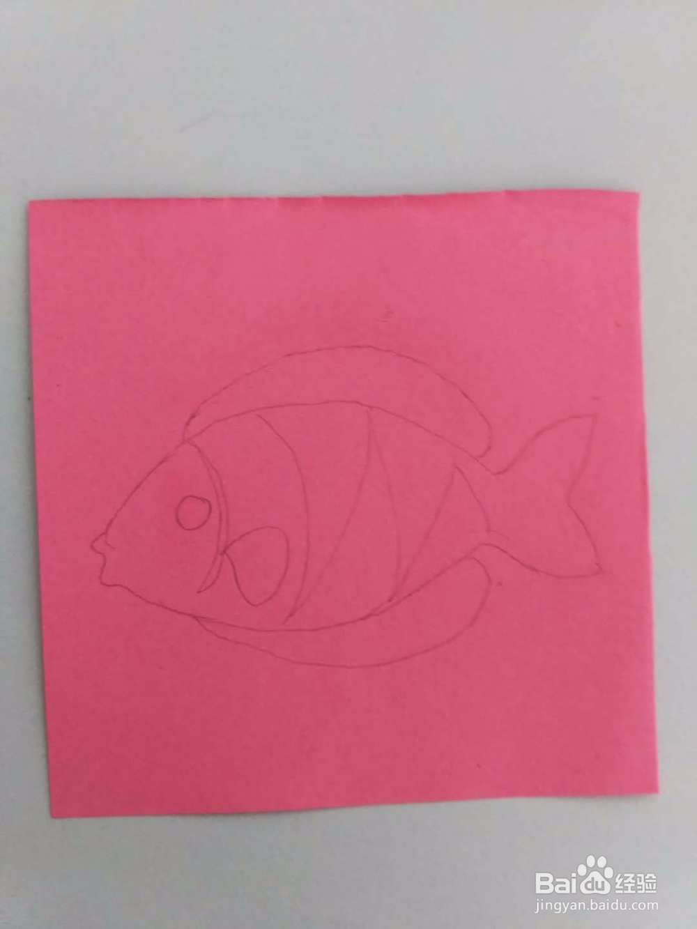 多妈亲子手工剪纸动物一条小鱼