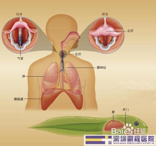 三个止嗝小方法