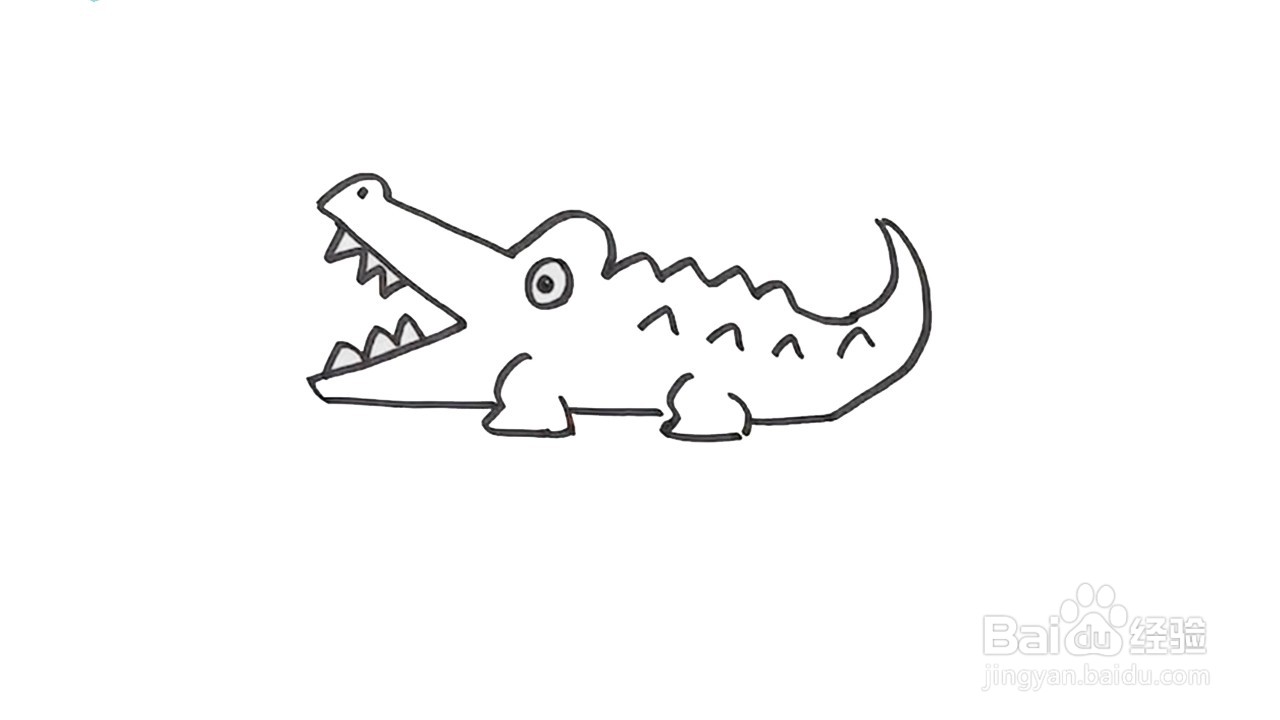 帝王鳄画法图片