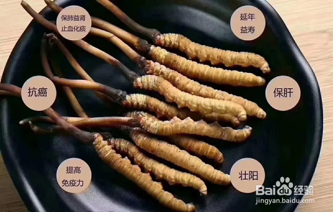 虫草的最佳储存方法