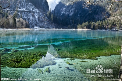 九寨沟自驾游注意事项