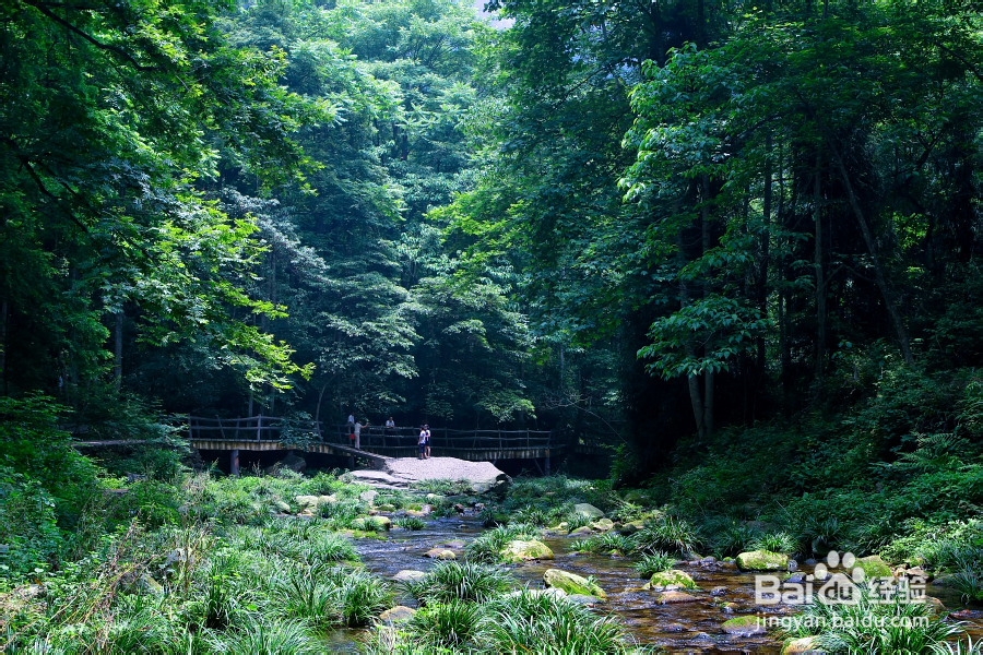 张家界春节旅游