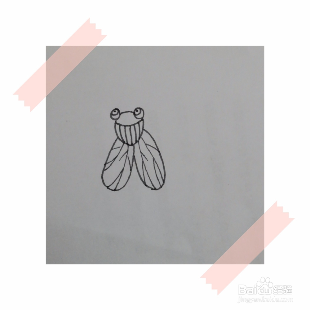 儿童画简笔画苍蝇