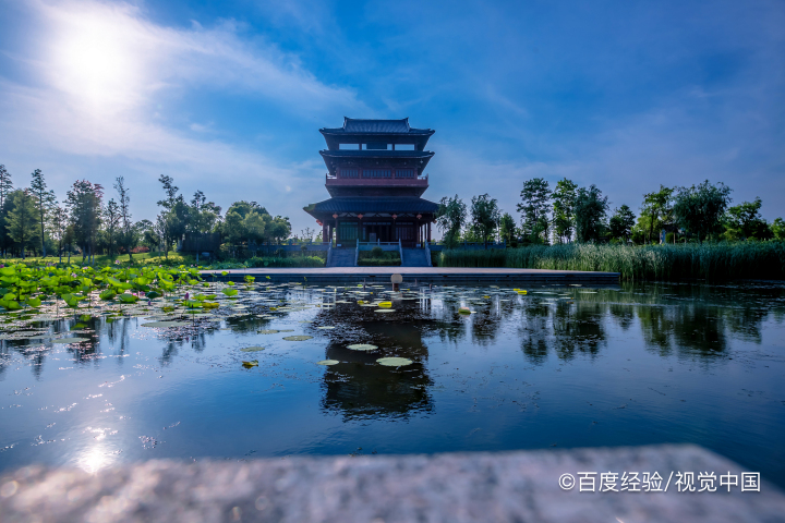 东台条子泥赶海攻略