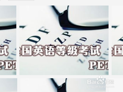 pets口试怎么考