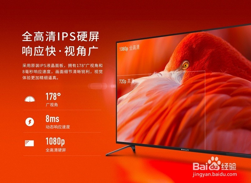 一张图看懂微鲸电视D系列43D新品电视