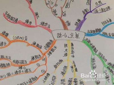 二年级数学广角搭配思维导图怎么画?