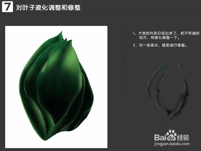 绿色植物肤品主题海报PS制作操作步骤