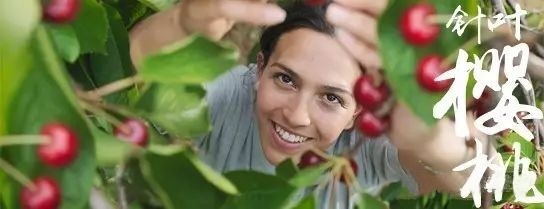 弱视久治不愈,可能忽略一件事!