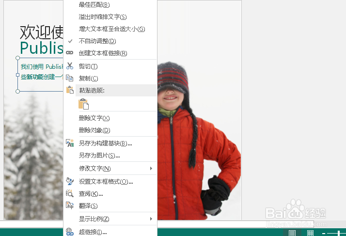 publisher怎么用