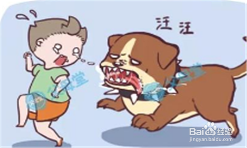 一周岁的小孩被自家的小狗咬了怎么办