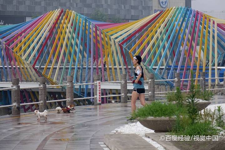 桥梁与风的作用应该怎么考虑