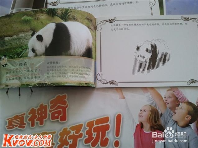 观察力，孩子成才的重要标志