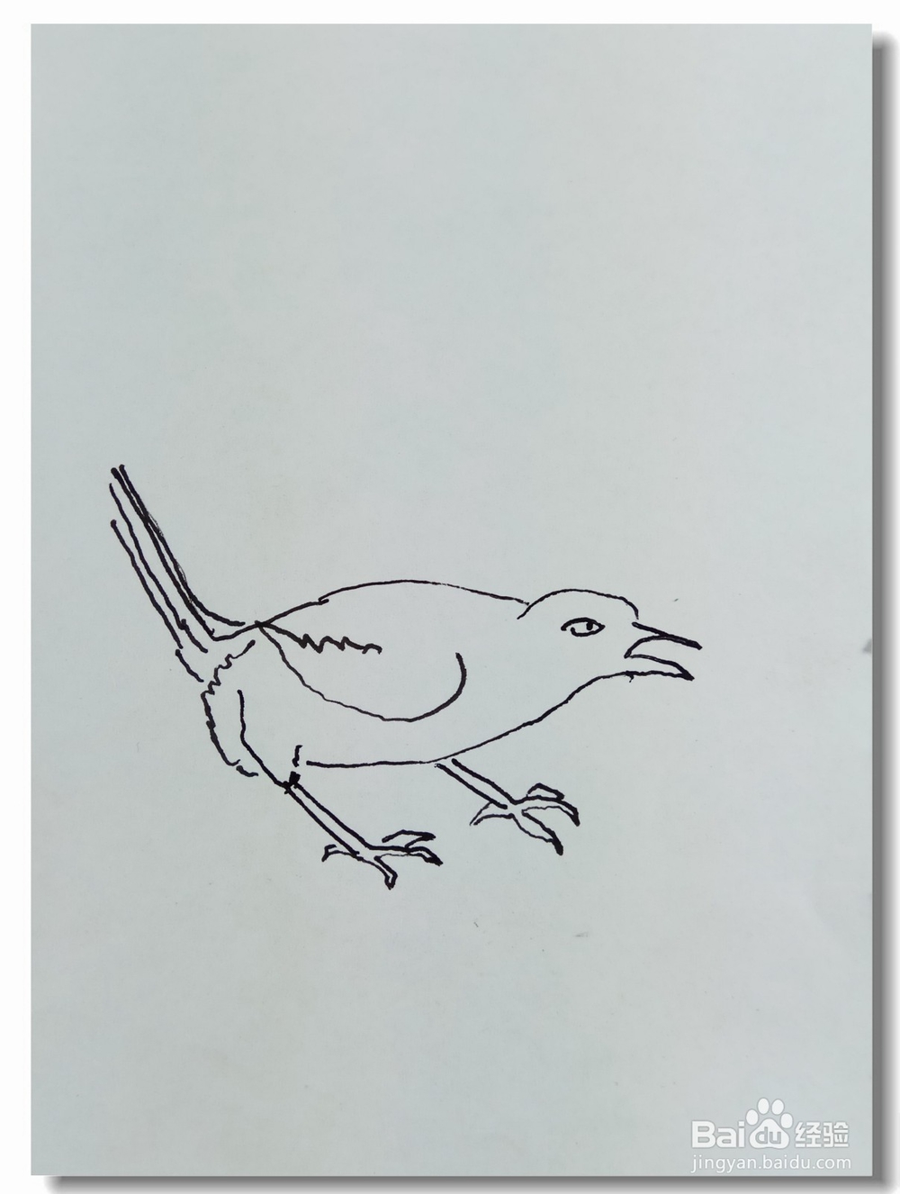 怎样画简笔画“枝头鸟”