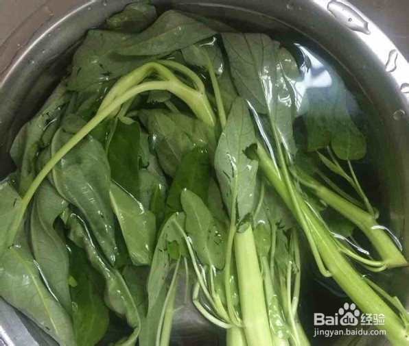 怎样用空心菜做茄汁肉丸汤