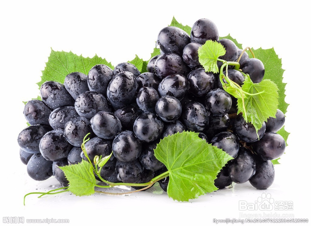 葡萄酒酿造方法小技巧