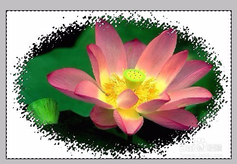 PS图层蒙版的应用