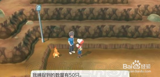 switch宝可梦攻略