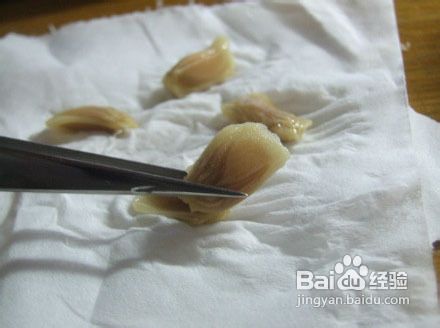 杯子里的小森林 教你杯子做花盆【小清新】