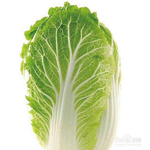 白菜烂帮怎么办