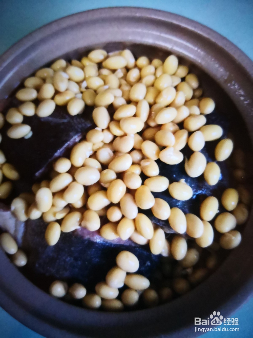 怎么做黄豆蒸马哈鱼