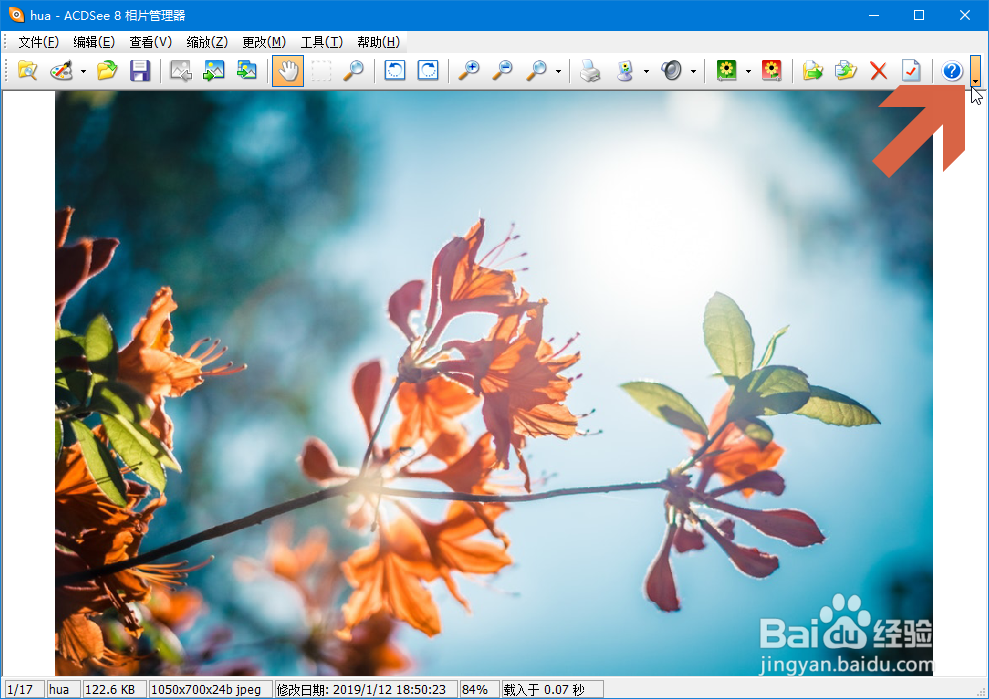 怎么让ACDSee8工具栏中的图标变成小图标