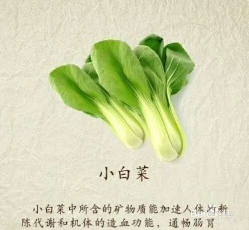 日常生活中老人家吃什么最适合