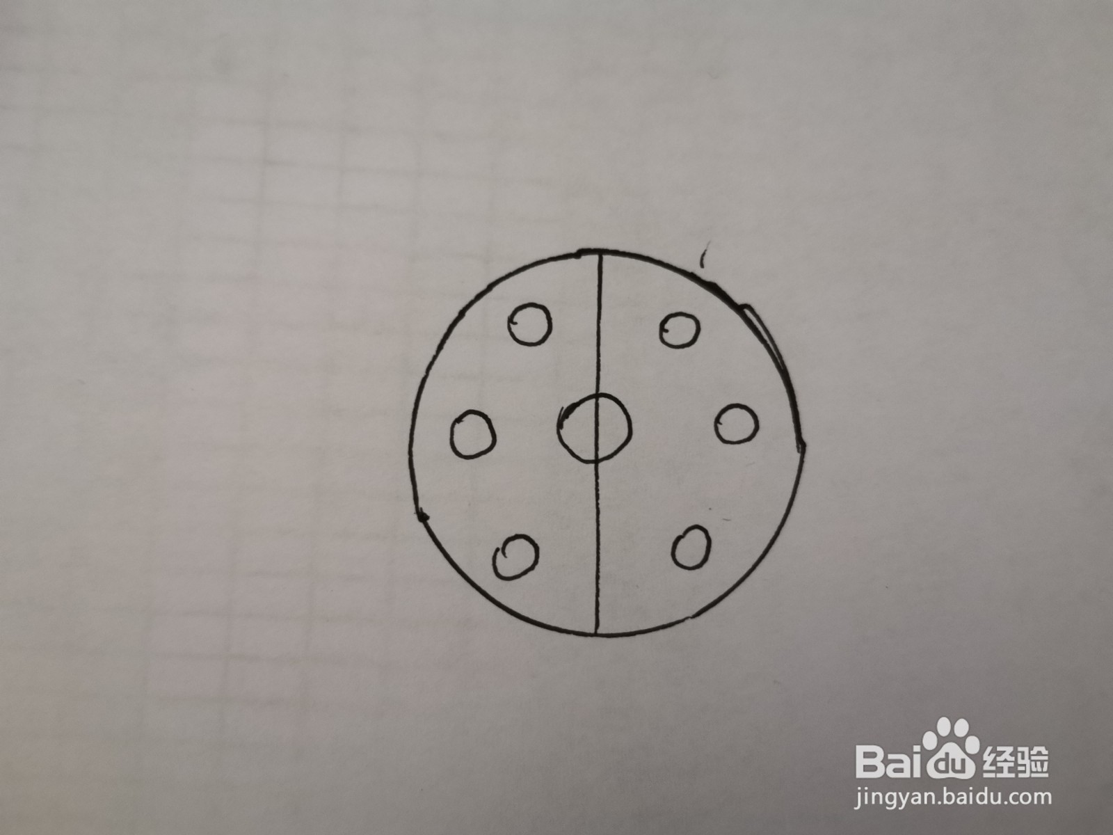 圆形的简笔画:七星瓢虫